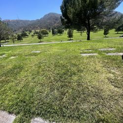 Forest Lawn Hollywood Plot for Sale 