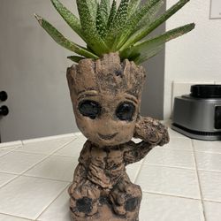 Plant
