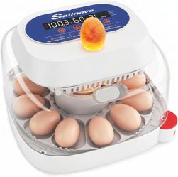 Egg Incubator