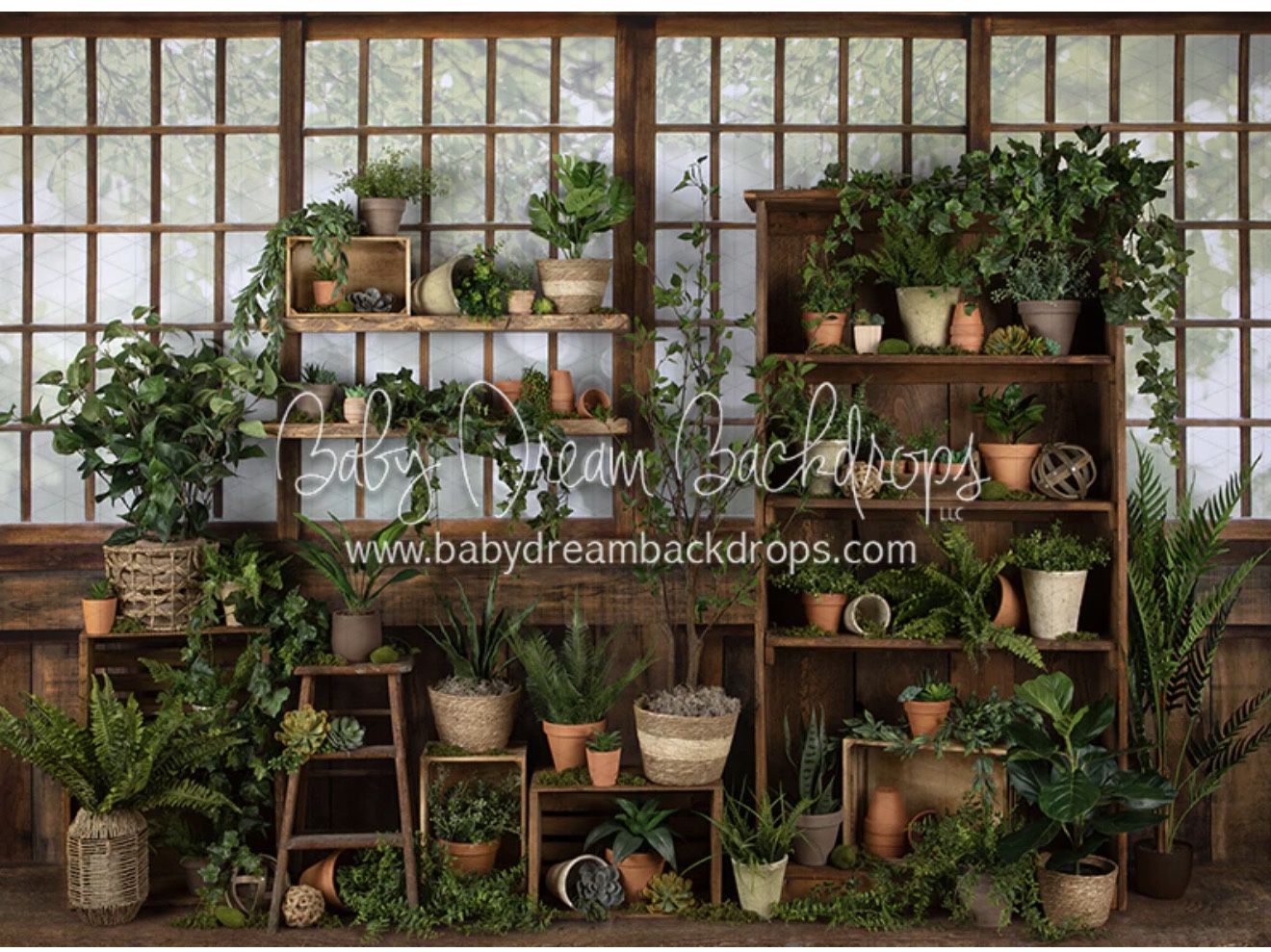 Baby Dream Backdrop 5x7