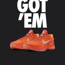 Nike Kobe 6 Protro