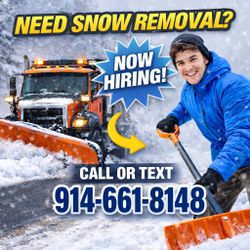 Snow Blowing For Neighbors 20 Inch Pluss