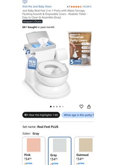 2 in 1 mini training potty