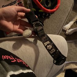 Large Collar With Light