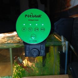Automatic Fish Feeder