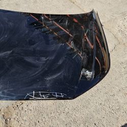 Audi A4 S4 Front Hood Oem  17 To 23