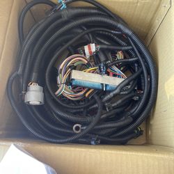 Wiring Harness