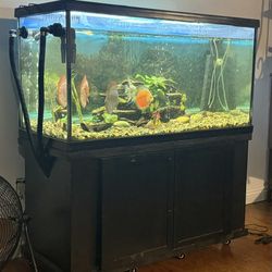 Fish Tank Complete 