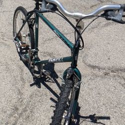 Adult Bike Green With Adjustable Seat & Handle