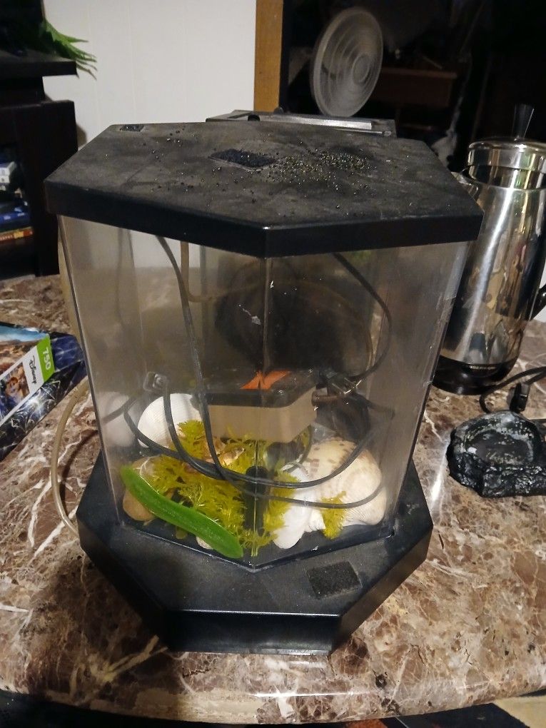 Fish Tank