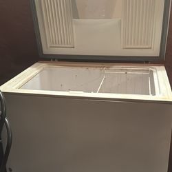 Large Deep Freezer 