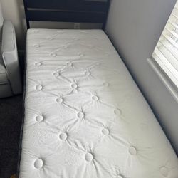 Bed Couches 