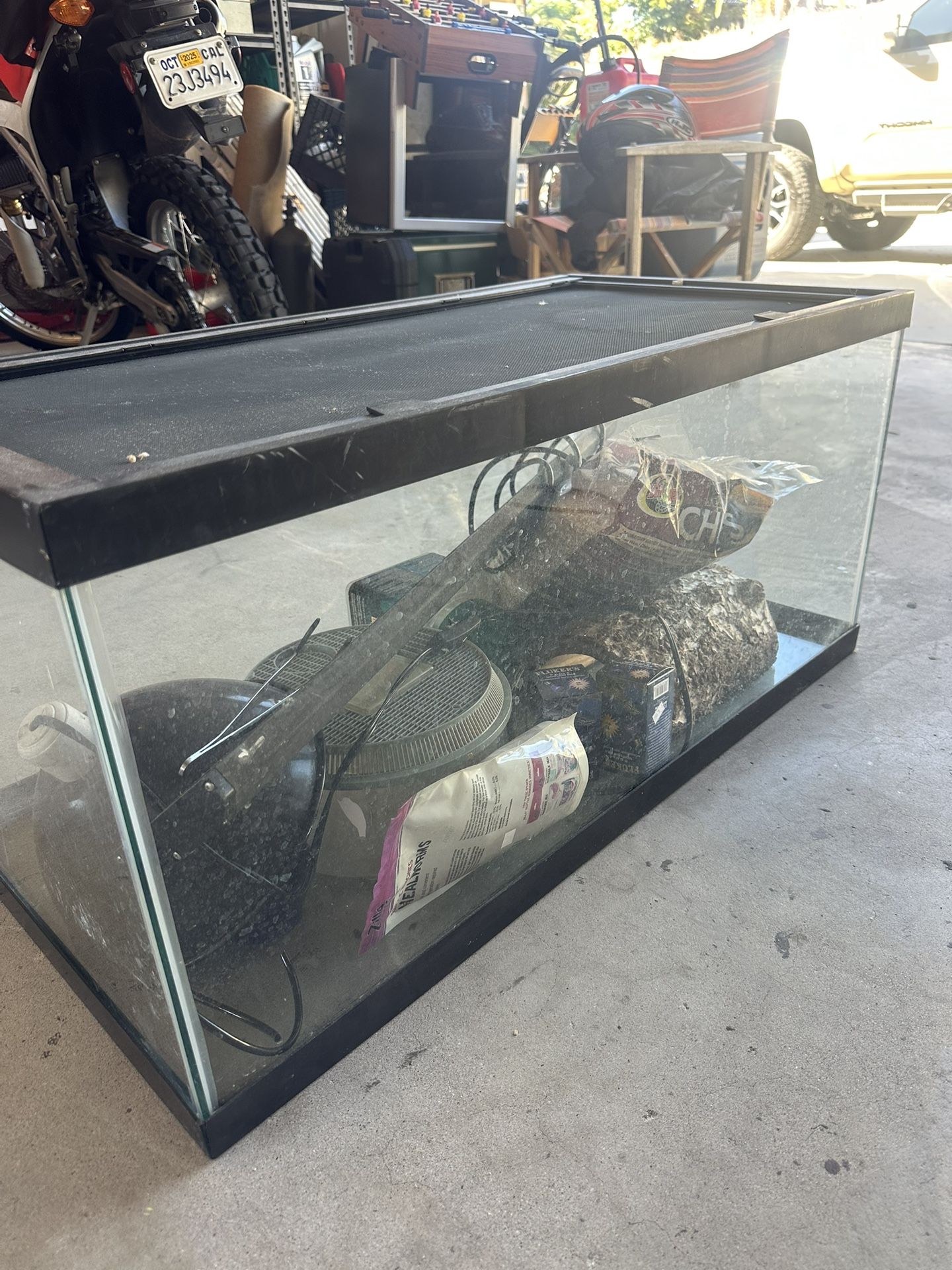Reptile Terrarium With Equipment