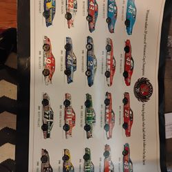 Poster Race Cars 