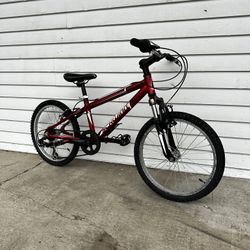 Kids Mountain Bike