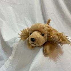 Collectors Beanie Baby Spunky