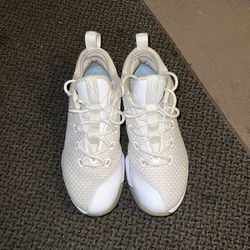 Lebron Shoes 