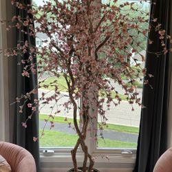 2 Round Lite Pink Chairs