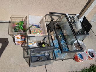 Aquariums Terrariums and Reptile Supplies