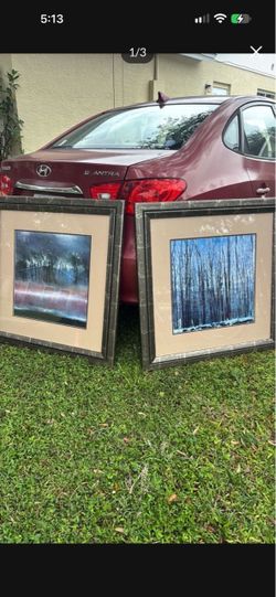 Set of 2 Framed Nature lithograph Prints