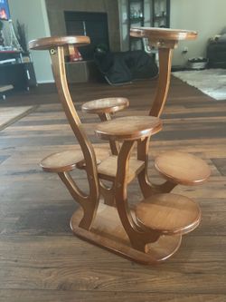 Succulent stand