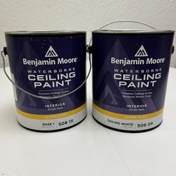 Ceiling Paint  Super White 