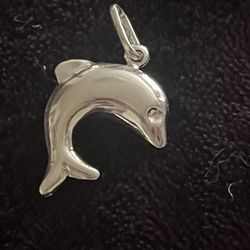 Dolphin 🐬 Sterling Silver  