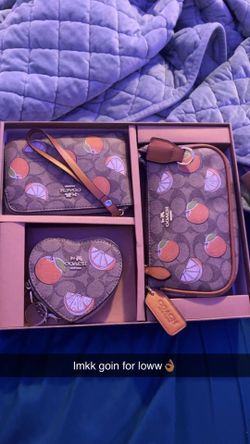 coach bag sets
