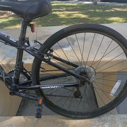 Diamond Back insight 24'