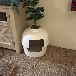 Cat Litter Box