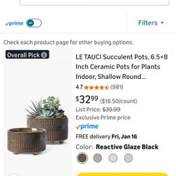 Succulent Pots 2pcs Set