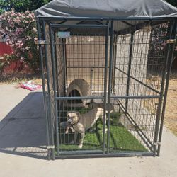 Dog Kennel NOT THE DOG 