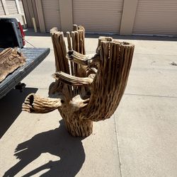 Petrified Wood (saguaro) 