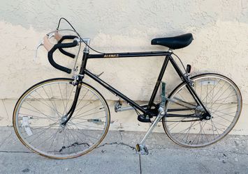 Rare Vintage Alenax TRB-1000 Transbar Bike XL – $450