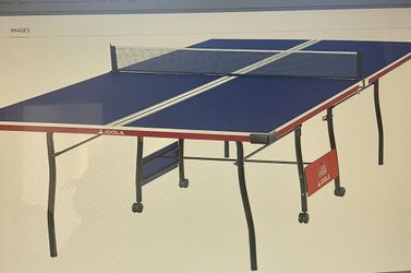 Ping Pong Table