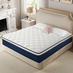 Queen Matters
from Amazon