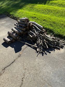 Cut logs and kindling