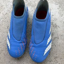adidas Predator Accuracy.3 Laceless FG Football Cleats Size 3.5