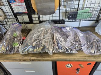 Fig Cuttings, Kadota,Olympian, Excel,Brown  Turkey, Black Mission and Yellow  Longneck.....#5 For 