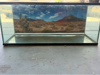 78 gallon aquarium + bearded dragon supplies