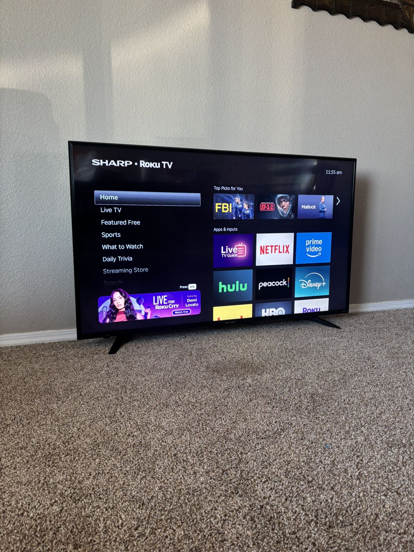55” 4K UHD Smart TV