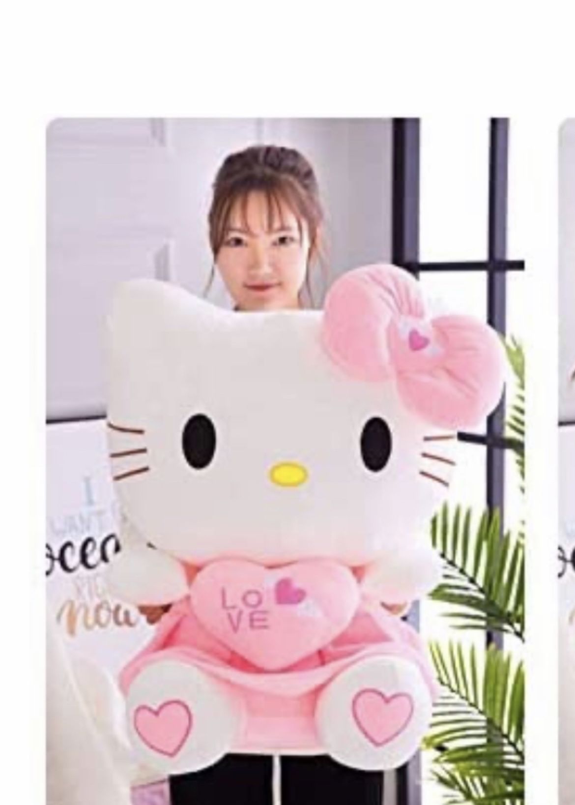 Brand New Plush Party HK.