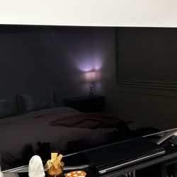 Samsung TV *DOES NOT WORK*