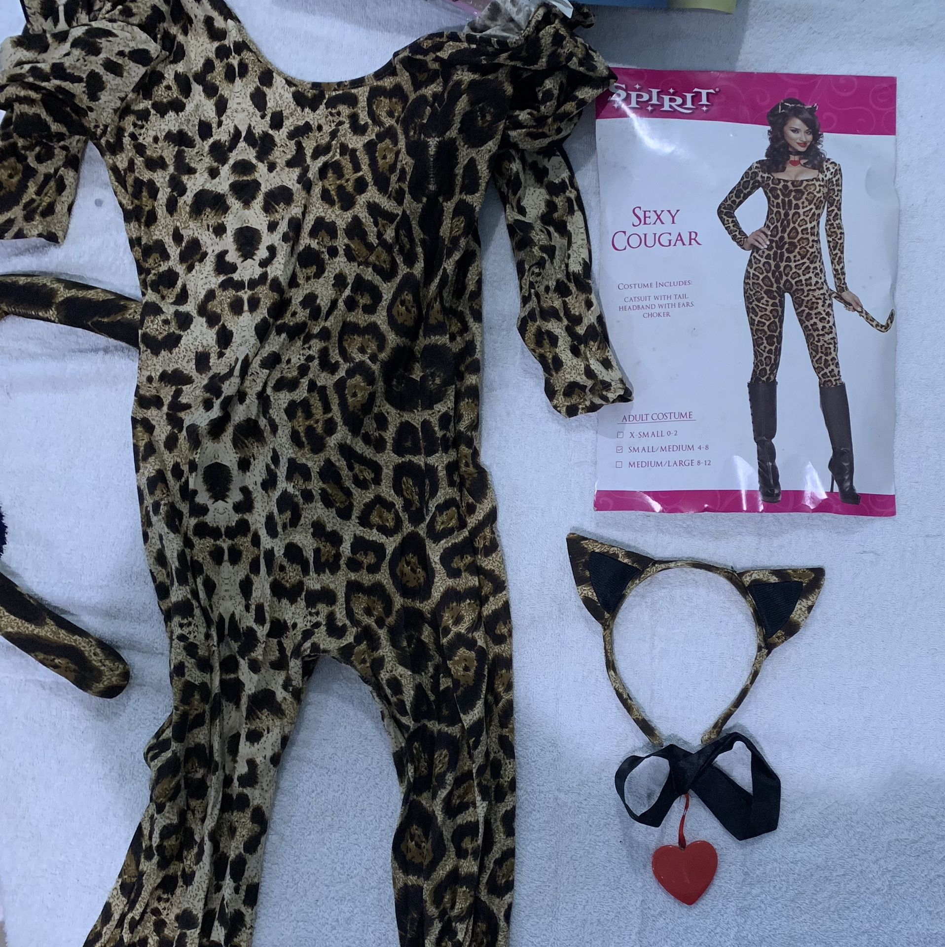 Halloween costume / sexy cougar
