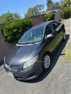 2010 Toyota Corolla