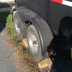 Traila, Moledora De Tronco