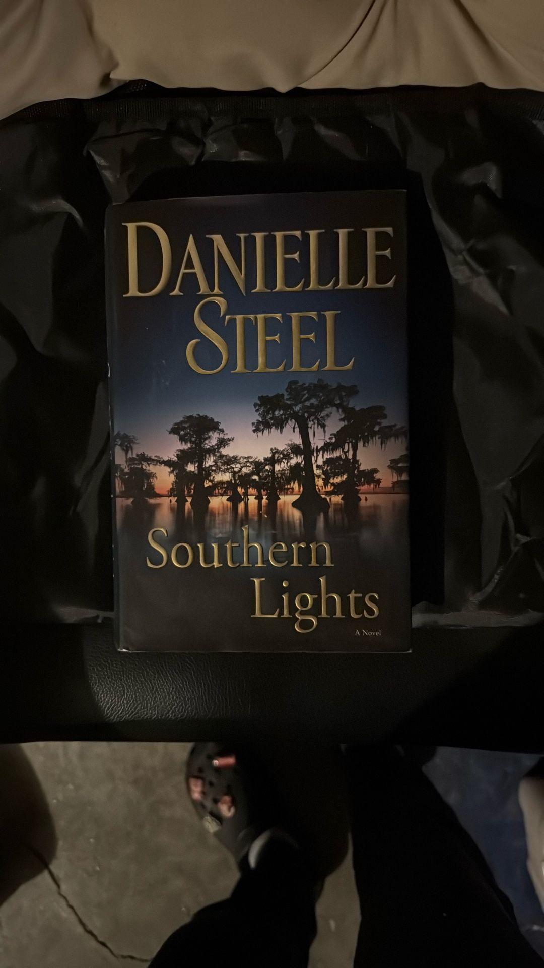 Danielle Steel “Southern Lights”