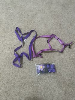 dog stuff