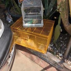 Bird Cages