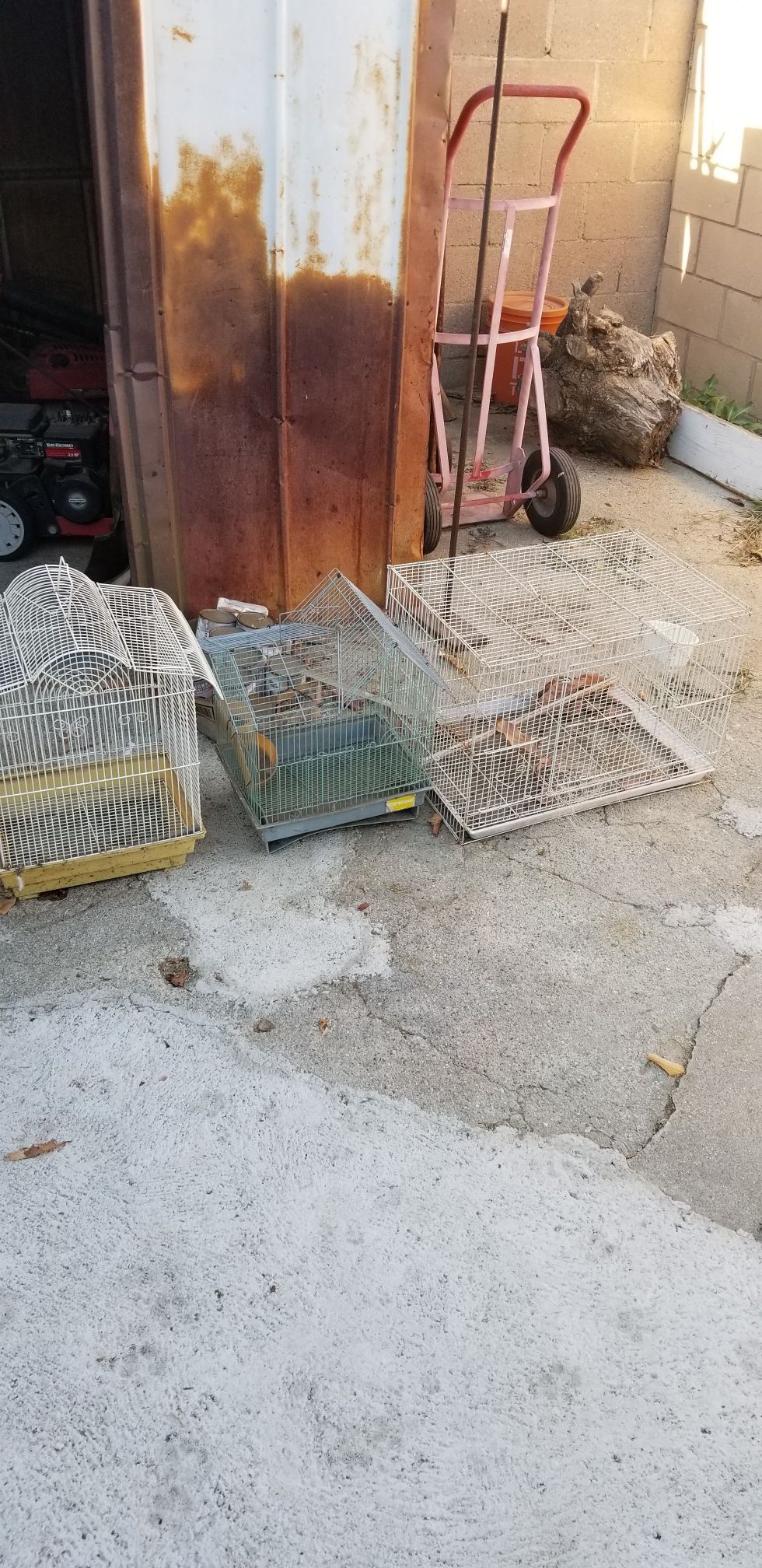 3 Bird cages 20 for all